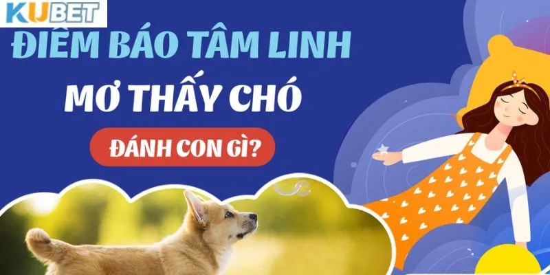 Các trường hợp mơ chó cần biết